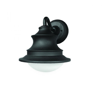 Butler - Outdoor Light Fixture - Black Finish (1|BTLW061007L30ENBK)