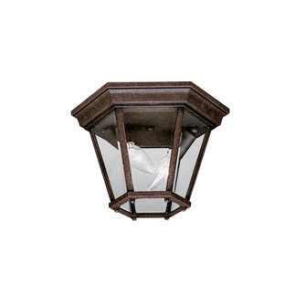 Outdoor Ceiling 2Lt (10687|9850TZ)