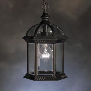 Outdoor Pendant 1Lt (10687|9835BK)