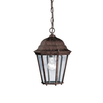 Outdoor Pendant 1Lt (10687|9805TZ)