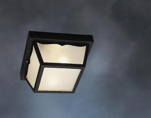 Outdoor Ceiling 2Lt (10687|9322BK)