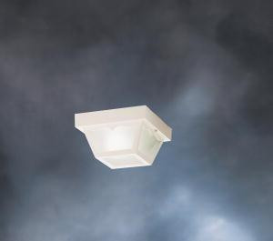 Outdoor Ceiling 1Lt (10687|9320WH)