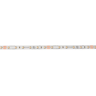 24V Stnd Dry 2700K LED Tape 10 (10687|6T110S27WH)