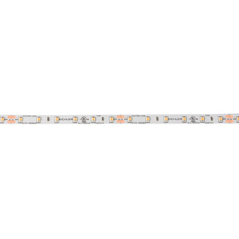 24V High Dry 2700K LED Tape 10 (10687|6T110H27WH)