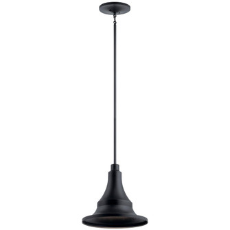 Outdoor Ceiling 1Lt (10687|59058BKT)