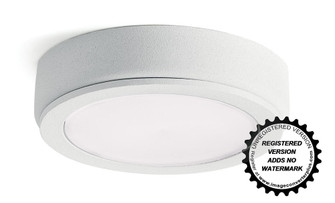 4D 12V LED Disc 2700K (10687|4D12V27WHT)