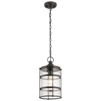 Outdoor Pendant 1Lt (10687|49964AVI)