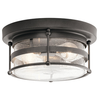 Outdoor Ceiling 2Lt (10687|49965AVI)