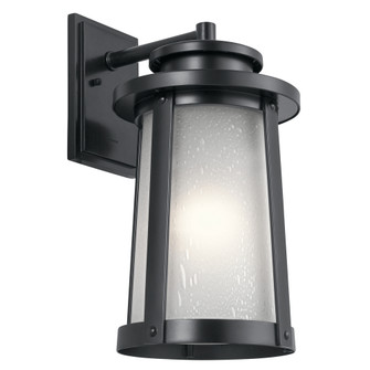 Outdoor Wall 1Lt (10687|49919BK)