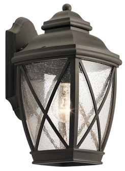 Tangier 13.5'' 1 Light Outdoor Wall Light with Clear Seeded Glass in Olde Bronze (10687|49841OZ)