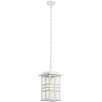 Outdoor Pendant 1Lt (10687|49833WH)