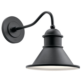 Northland 16.75'' 1 Light Outdoor Wall Light in Black (10687|49776BK)