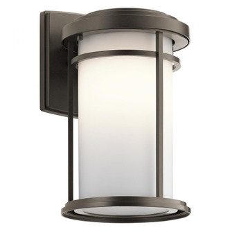 Outdoor Wall 1Lt LED (10687|49687OZL18)