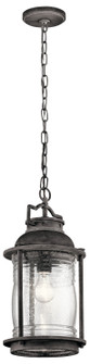Outdoor Pendant 1Lt (10687|49572WZC)
