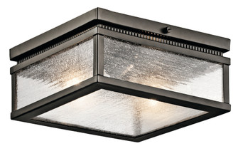 Outdoor Ceiling 2Lt (10687|49389OZ)