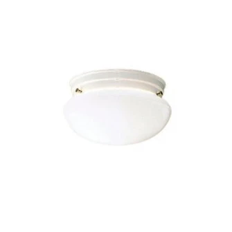 Flush Mount 2Lt (10687|209WH)