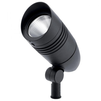 C-Series Accent 1800Lm 33Deg 3 (10687|16219BKT30)