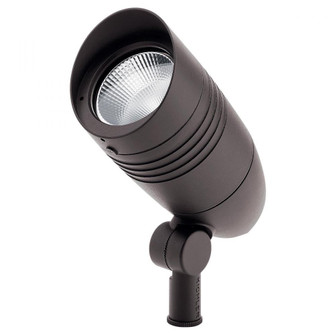 C-Series Accent 1800Lm 33Deg 3 (10687|16219AZT30)