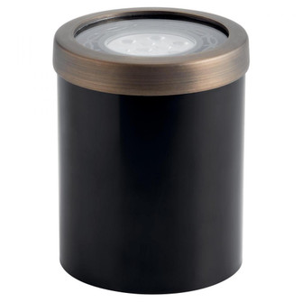 PAR 36 Well Brass Trim (10687|15507CBR)