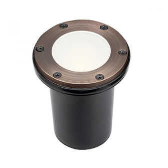 12V Brass In Ground w/ Frosted (10687|15481CBR)