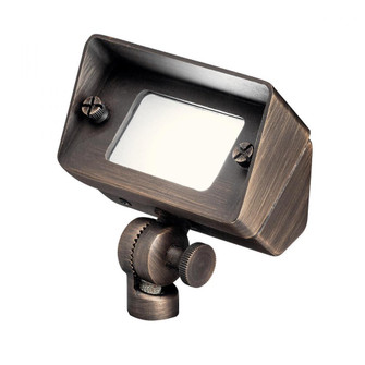 12V Brass Flood/Wall Wash (10687|15476CBR)