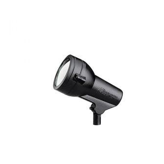 Accent 1-Lt 120V (10687|15231BKT)