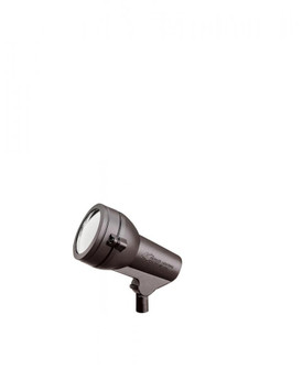 Accent 1-Lt 120V (10687|15231AZT)
