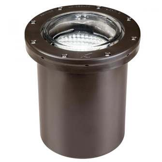 In-Ground 1-Lt 12V (10687|15194AZ)