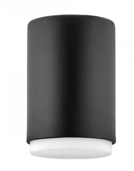 Extra Small Flush Mount (87|30071BK)