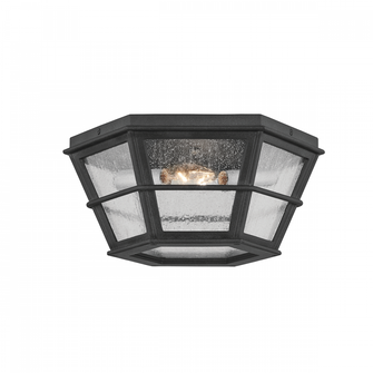 Lake County Exterior Flush Mount (52|C2514-FRN)