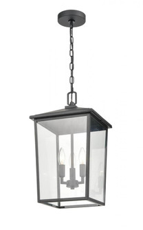 Outdoor Hanging Lantern (670|2973-PBK)