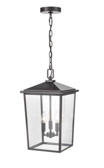 Outdoor Hanging Lantern (670|2973-PBZ)