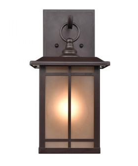 Outdoor Wall Sconce (670|4162-PBZ)