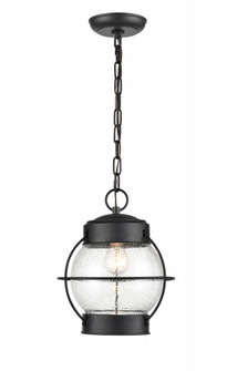 Aremelo 1-Light Outdoor Hanging Lantern Powder Coated Black (670|4172-PBK)