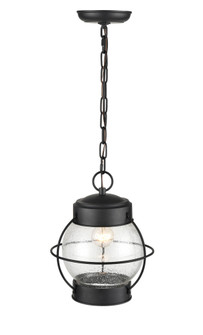 Aremelo 1-Light Outdoor Hanging Lantern Powder Coated Black (670|4172-PBK)