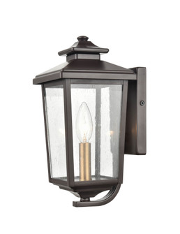 Eldrick 1-Light Outdoor Wall Sconce Powder Coated Bronze (670|4641-PBZ)