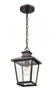Outdoor Hanging Lantern (670|4731-PBZ)