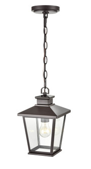 Bellmon 1-Light Outdoor Hanging Lantern Powder Coated Bronze (670|4731-PBZ)