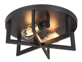 RIVERS FLUSHMOUNT MEDIUM BASE 120V (1|RIRF14MBBK)