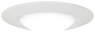 LED Flush Mount (10|739-2-44-L)