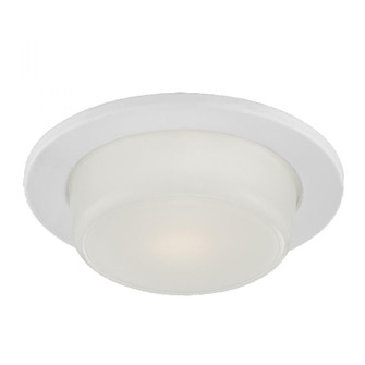 Trim, 4in, LED, Show Drop, 10LT w, Wht (4304|26082-57)