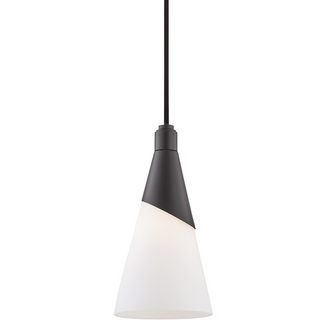 Parker Pendant (6939|H312701-BLK)