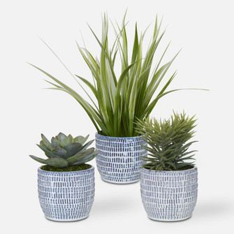 Uttermost Puebla Greenery In Blue & White Pots Set/3 (85|60192)