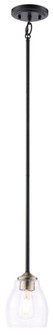 Winsley - 1 Light Mini Pendant (10|2430-878)