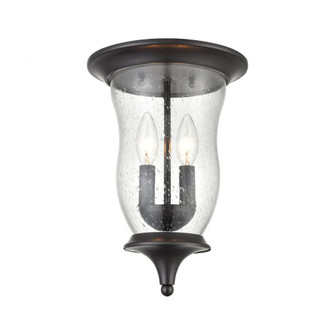 Thomas - Trinity 9'' Wide 2-Light Outdoor Flush Mount - Oil Rubbed Bronze (91|8002FM/75)