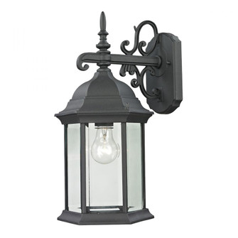 Thomas - Spring Lake 17'' High 1-Light Outdoor Sconce - Matte Textured Black (91|8601EW/65)