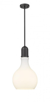 Amherst - 1 Light - 12 inch - Matte Black - Stem hung - Mini Pendant (3442|492-1S-BK-G581-12)