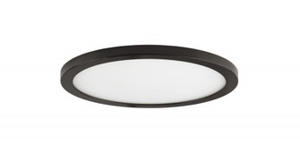 Wafer-Flush Mount (19|58712WTBZ)