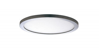 Wafer-Flush Mount (19|58712WTSN)