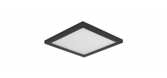 Wafer-Flush Mount (19|58720WTBZ)